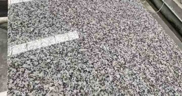 桂林 芙蓉白光面