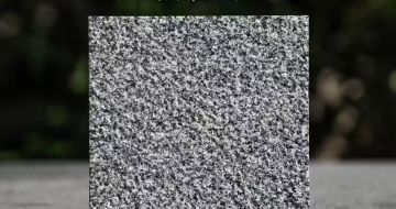 桂林 芝麻黑荔枝面