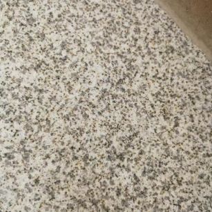 桂林 黄金麻中黄光面