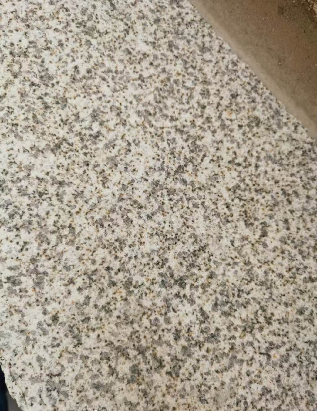 桂林 黄金麻中黄光面