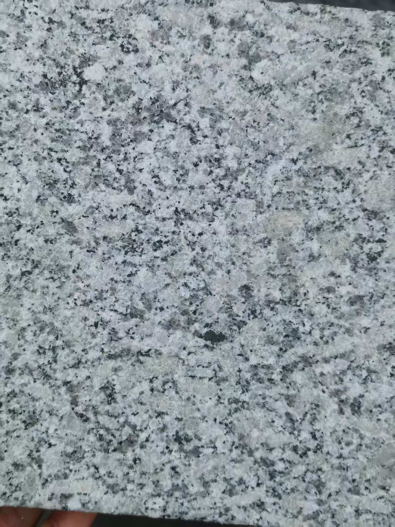 桂林 芙蓉白火烧面